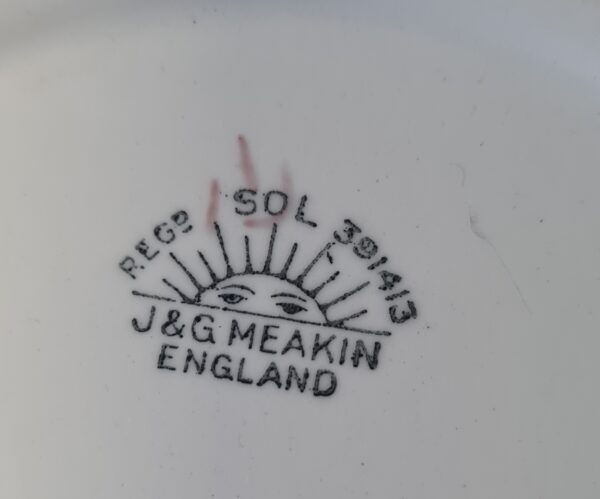 Piatto Inglese J&G Meakin England - immagine 3
