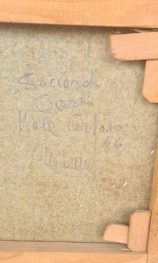 Carlo Saccardi - Campagna Pavese - immagine 5