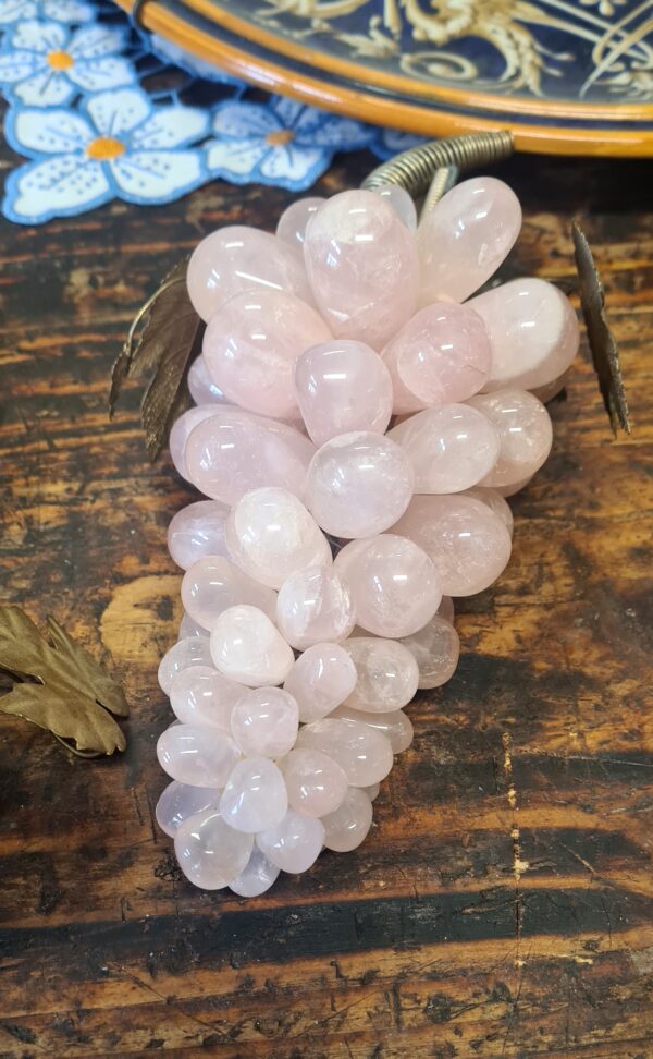 Grappoli d'uva - immagine 3